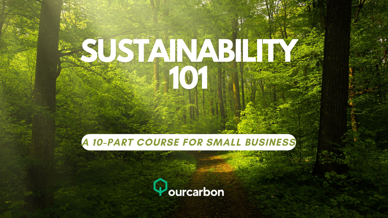Sustainability 101: A 10-Part Course for Small Business